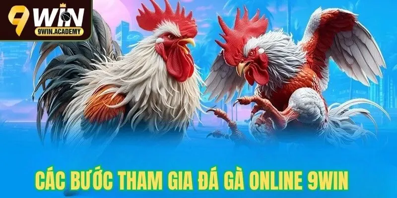 Các bước tham gia chơi đá gà online tại 9win