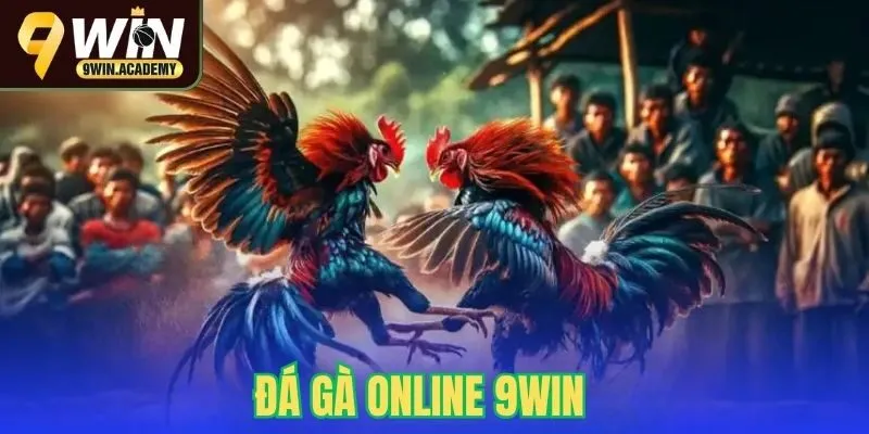 Đá Gà Online 9Win