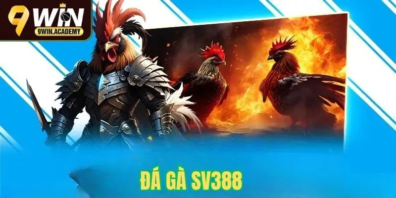 Đá gà SV388