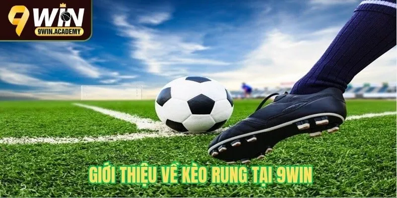 Giới thiệu về kèo rung tại 9Win