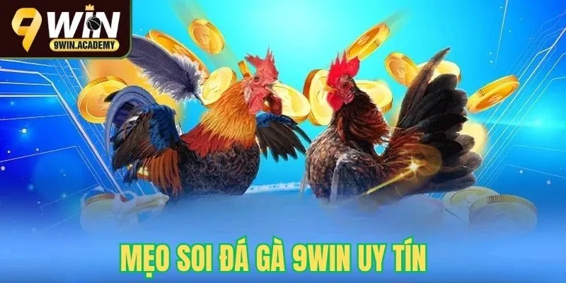 Tổng hợp các mẹo soi đá gà uy tín