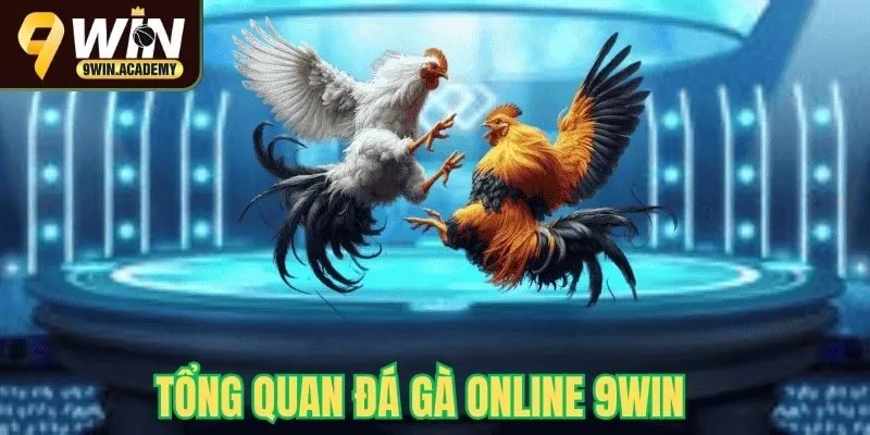 Tổng quan về trò chơi đá gà online